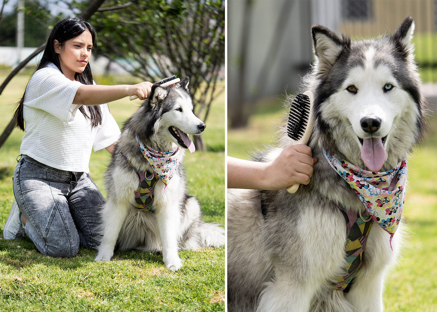 Cepillos para Mascotas Laika