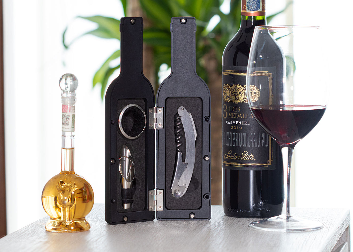 Set Vino Bottle